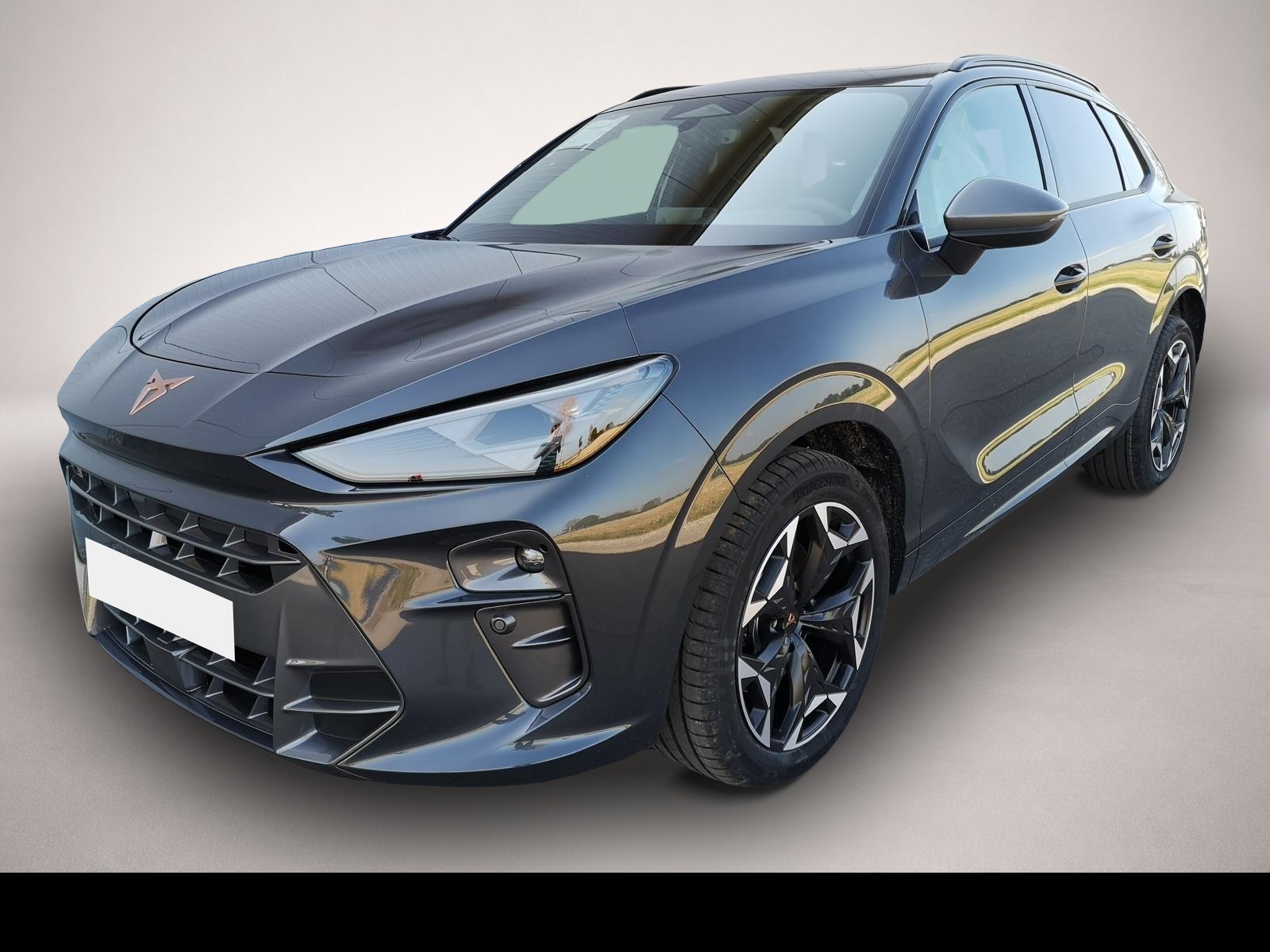 Bild Terramar Cupra