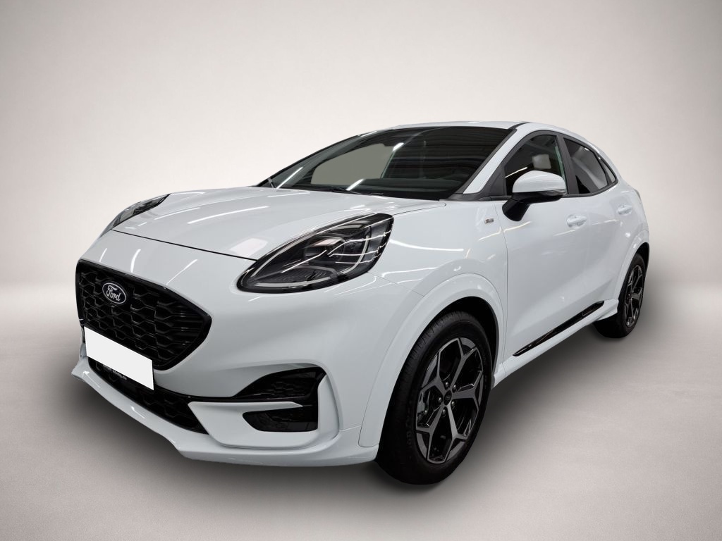 Bild Puma Ford
