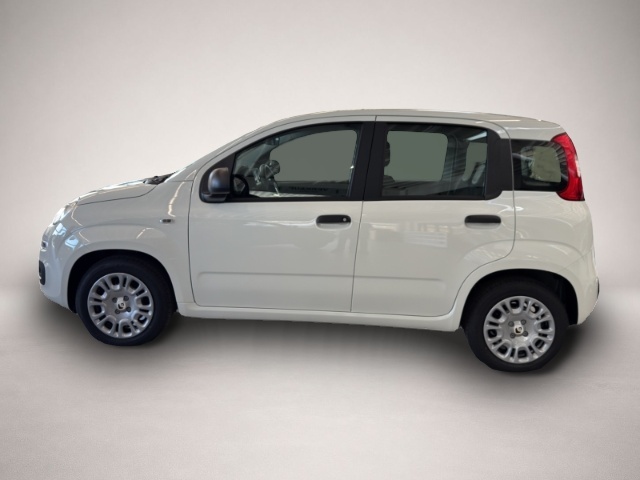 Bild 2 Fiat Panda Pandina 1.0 48 kW Icon Digitales Cockpit DAB Spu