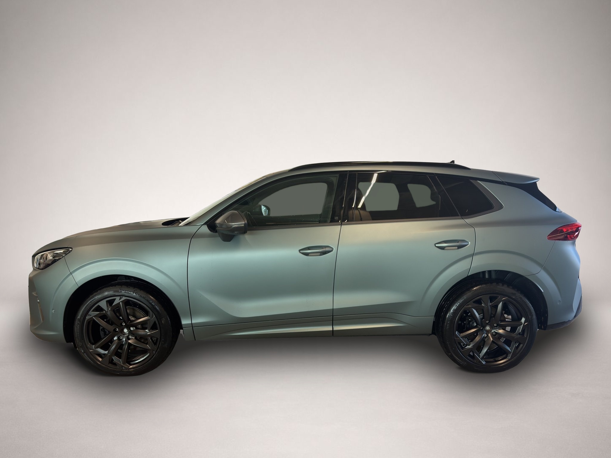 Bild 3 Cupra Terramar 2.0 TSI DSG 4Drive Americas Cup MATT+AH