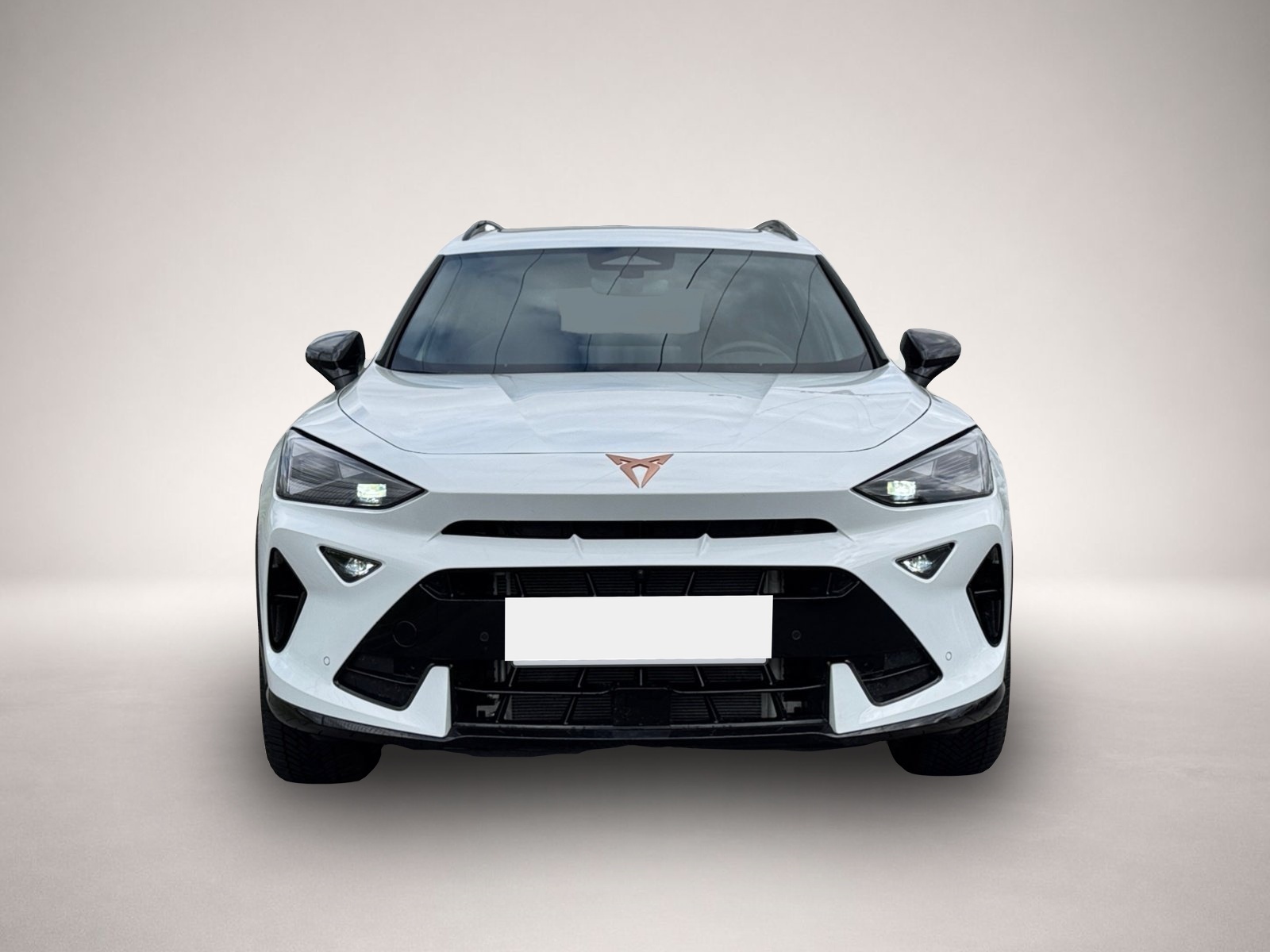 Fotografie des Cupra Formentor TDI DSG|AHK|PANO|360°|el.HECK|NAVI|ACC