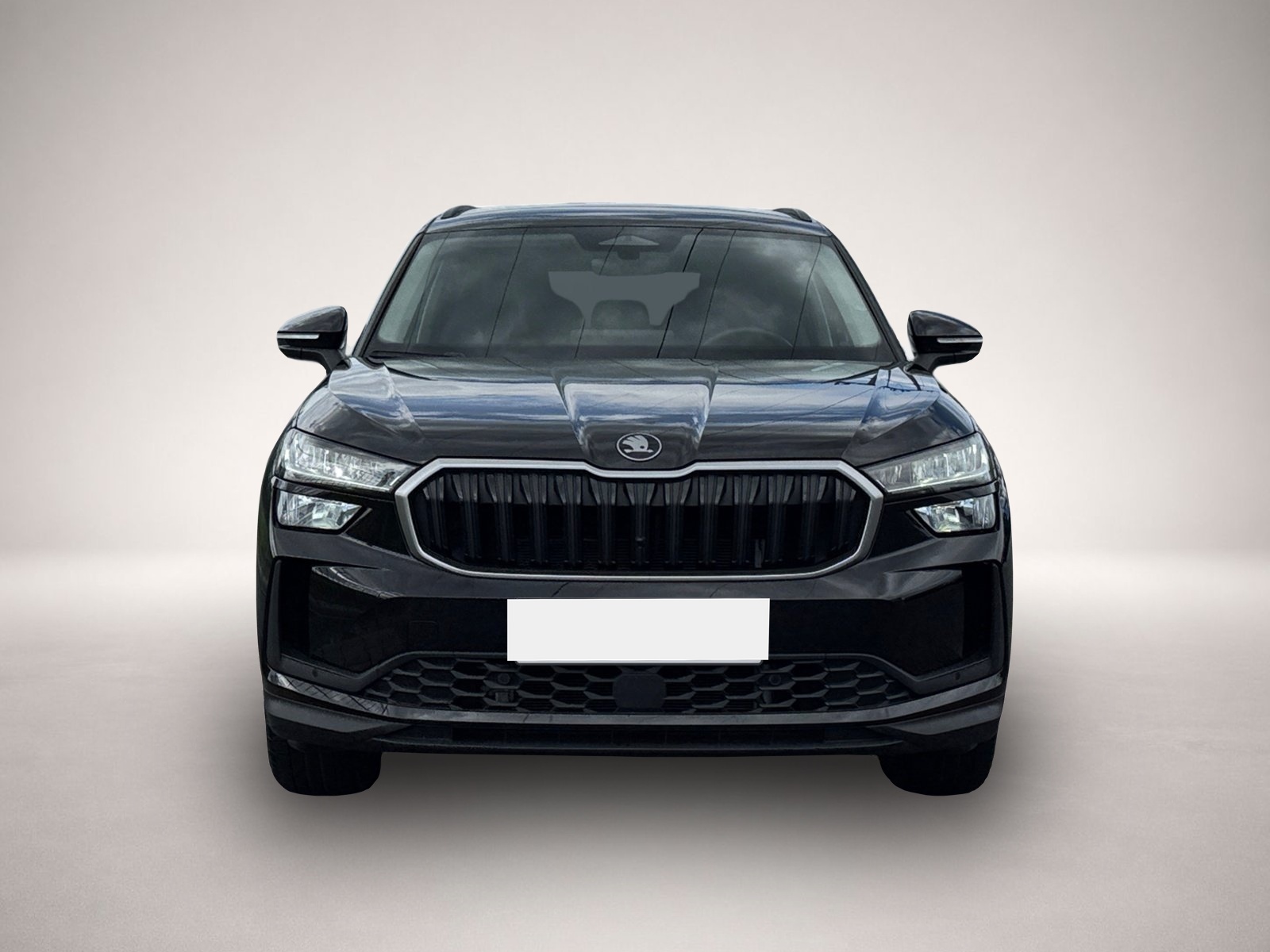 Bild 2 Skoda Kodiaq Selection iV DSG|NAVI|KAMERA|DCC+|WINTER