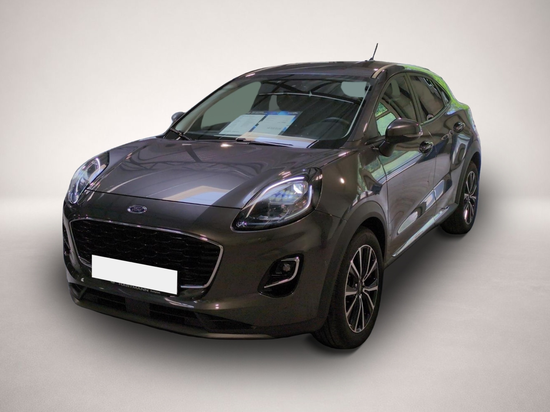 Bild Puma Ford