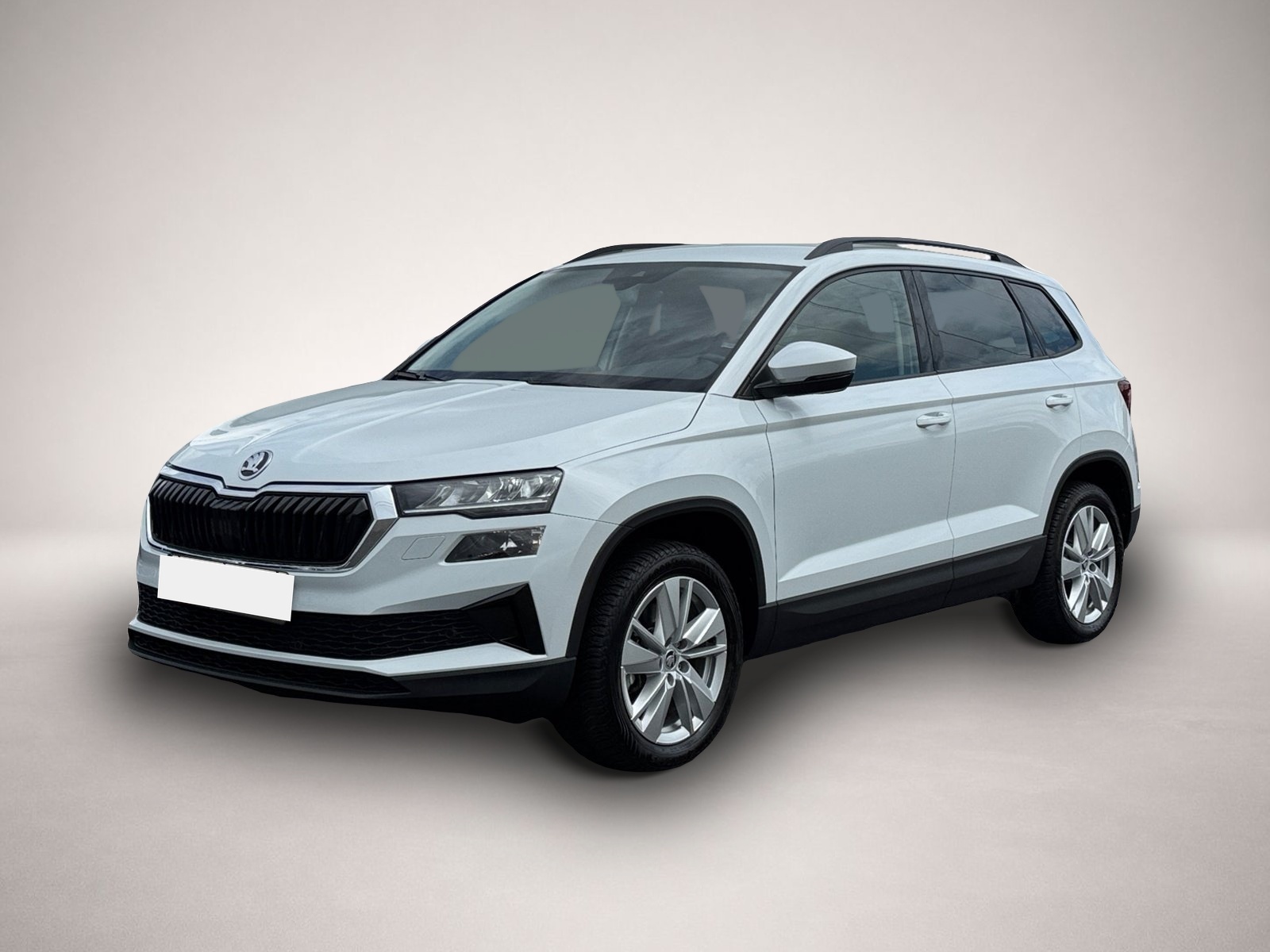 Bild 1 Skoda Karoq Selection 4x4 TDI DSG|ACC|NAVI|KAMERA|