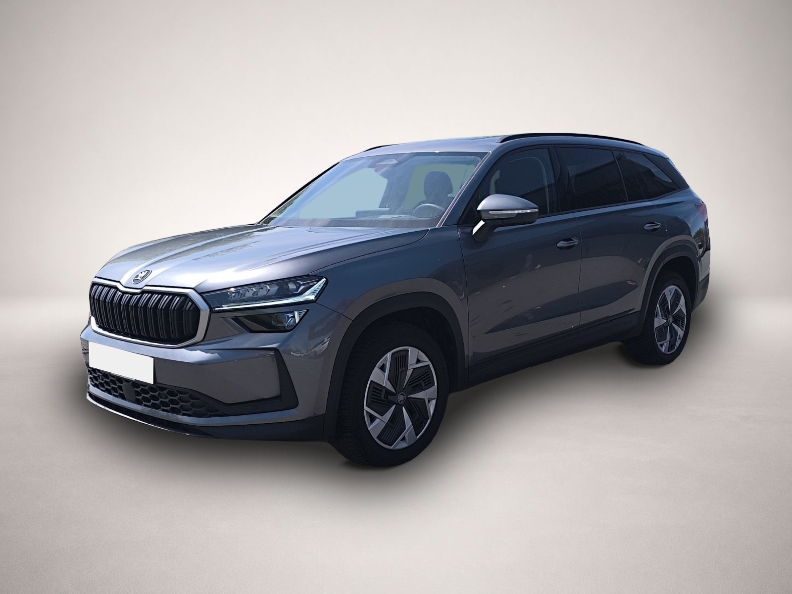 Bild Kodiaq Skoda