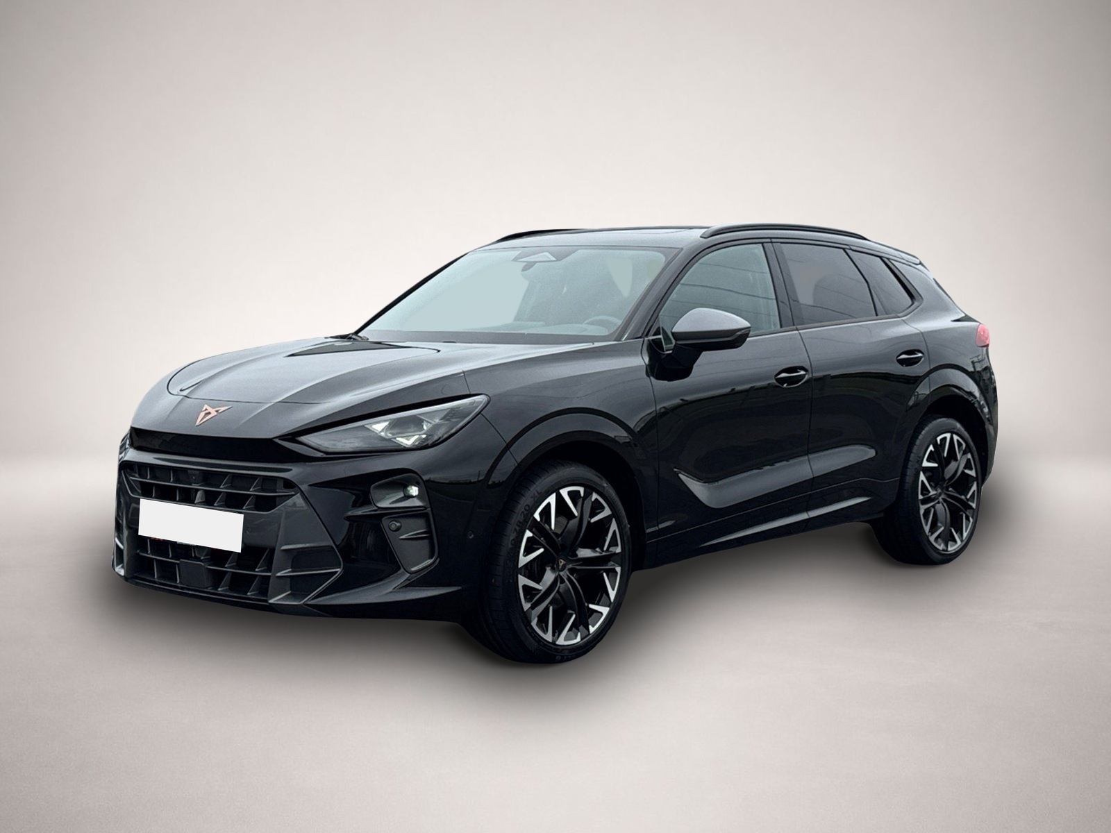 Bild Terramar Cupra