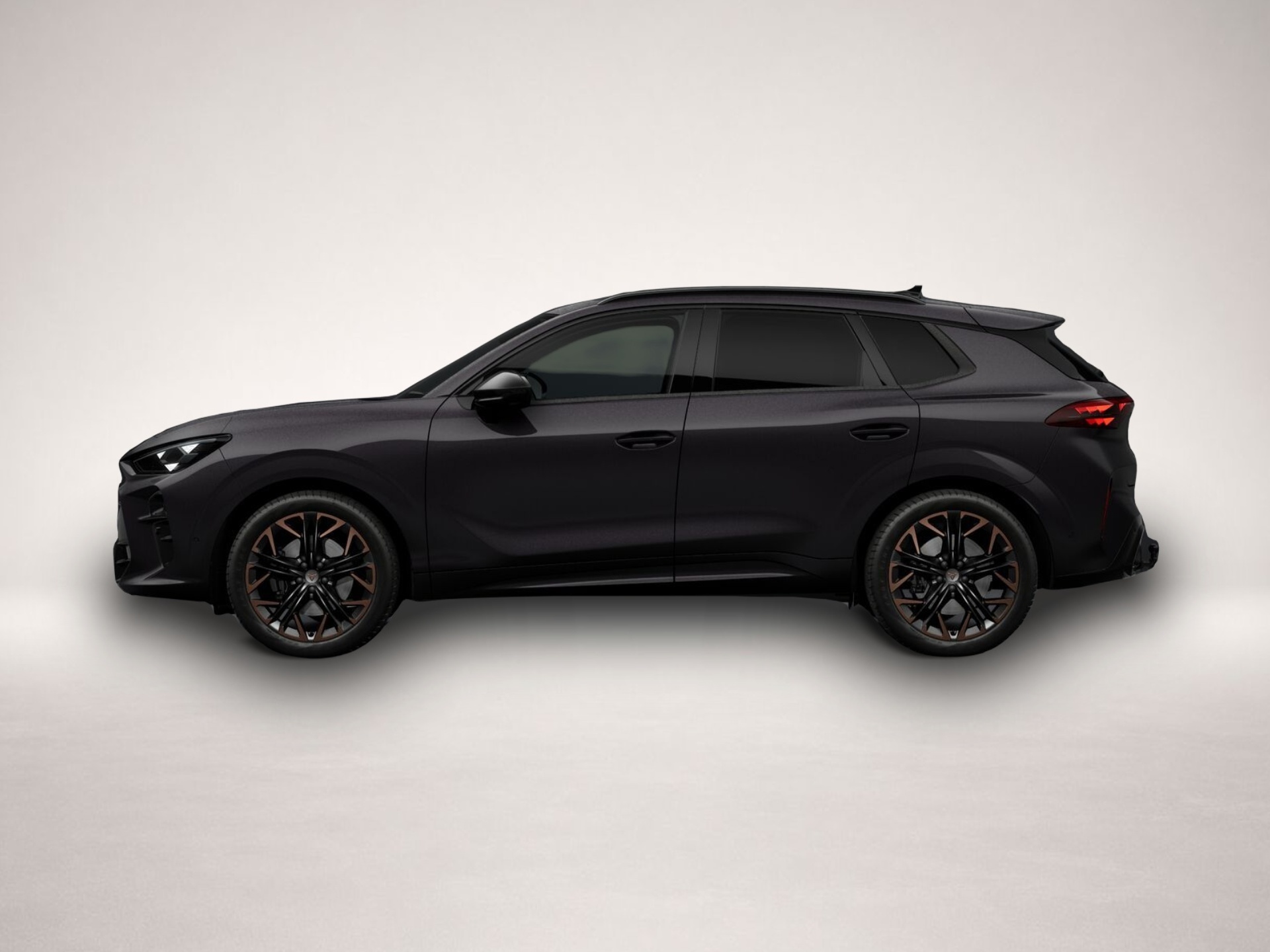 Bild 2 Cupra Terramar 2.0 TSI 7-Gang-DSG 4Drive