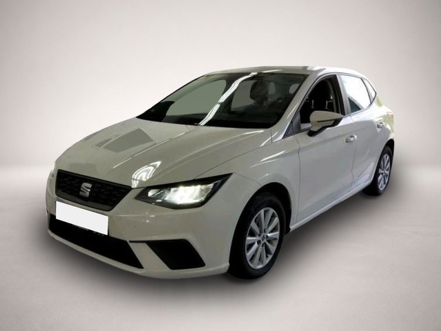 Ibiza Seat