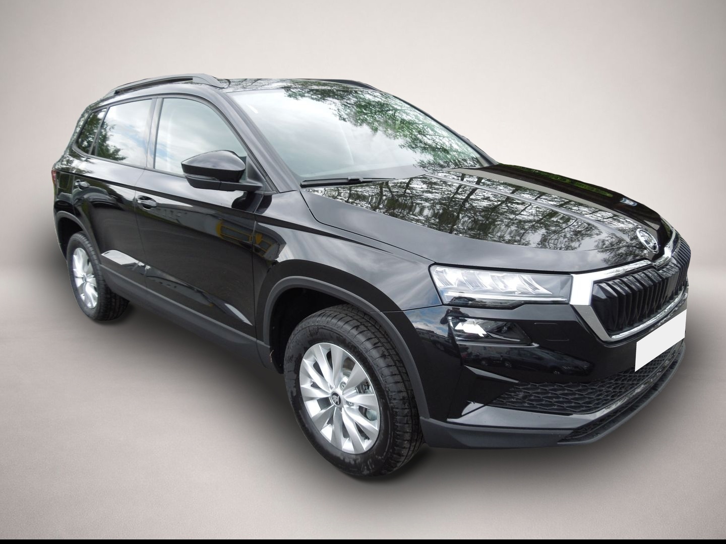 Bild Karoq Skoda