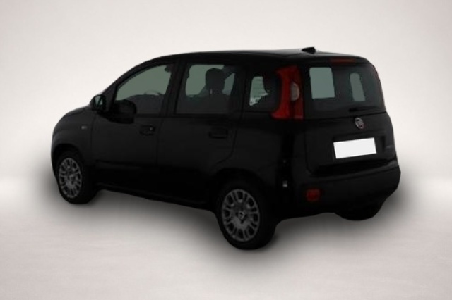 Bild 4 Fiat Panda Pandina Icon Panda (Pandina Icon) 1.0 Mild-Hybr.