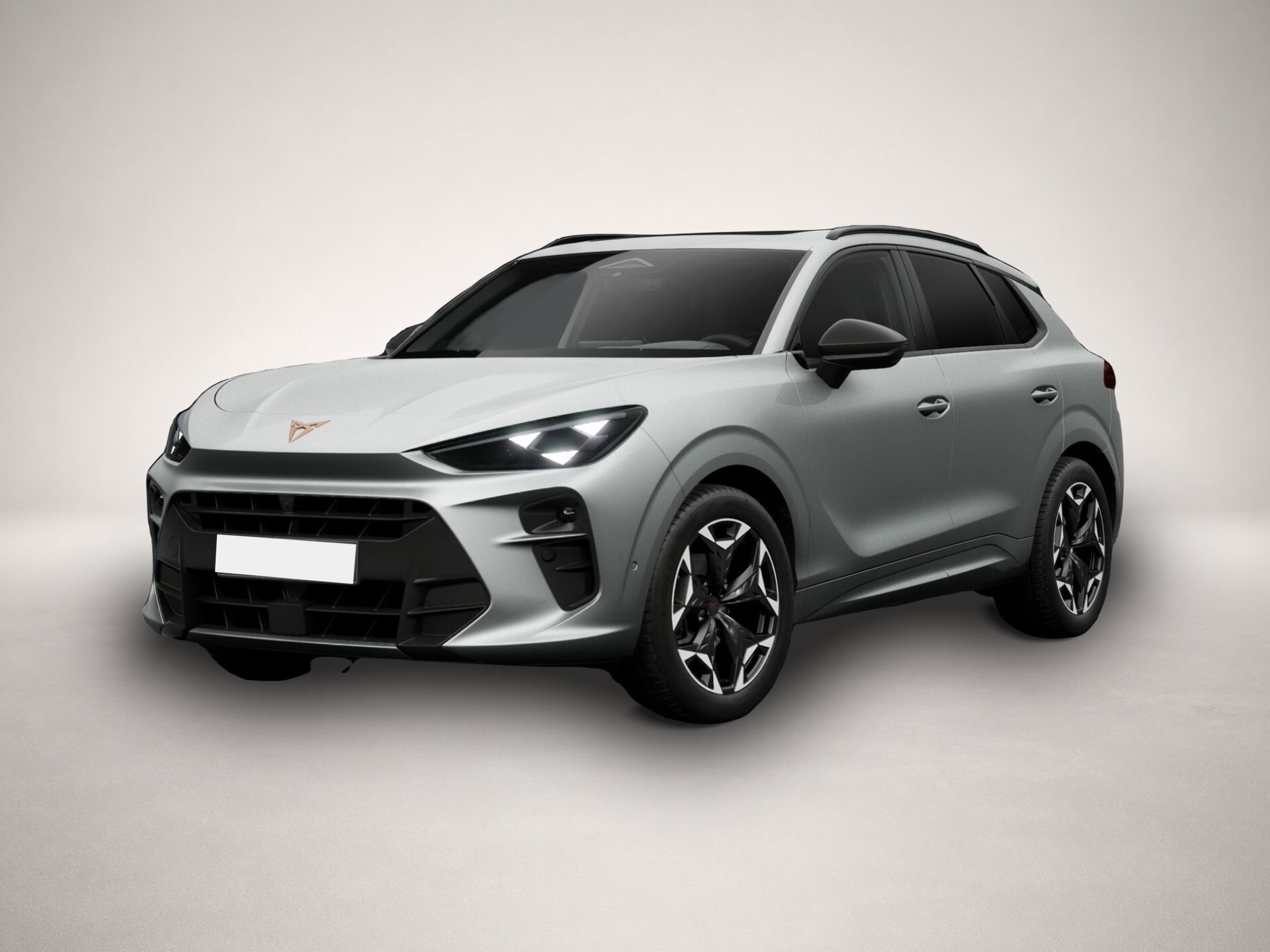 Bild Terramar Cupra