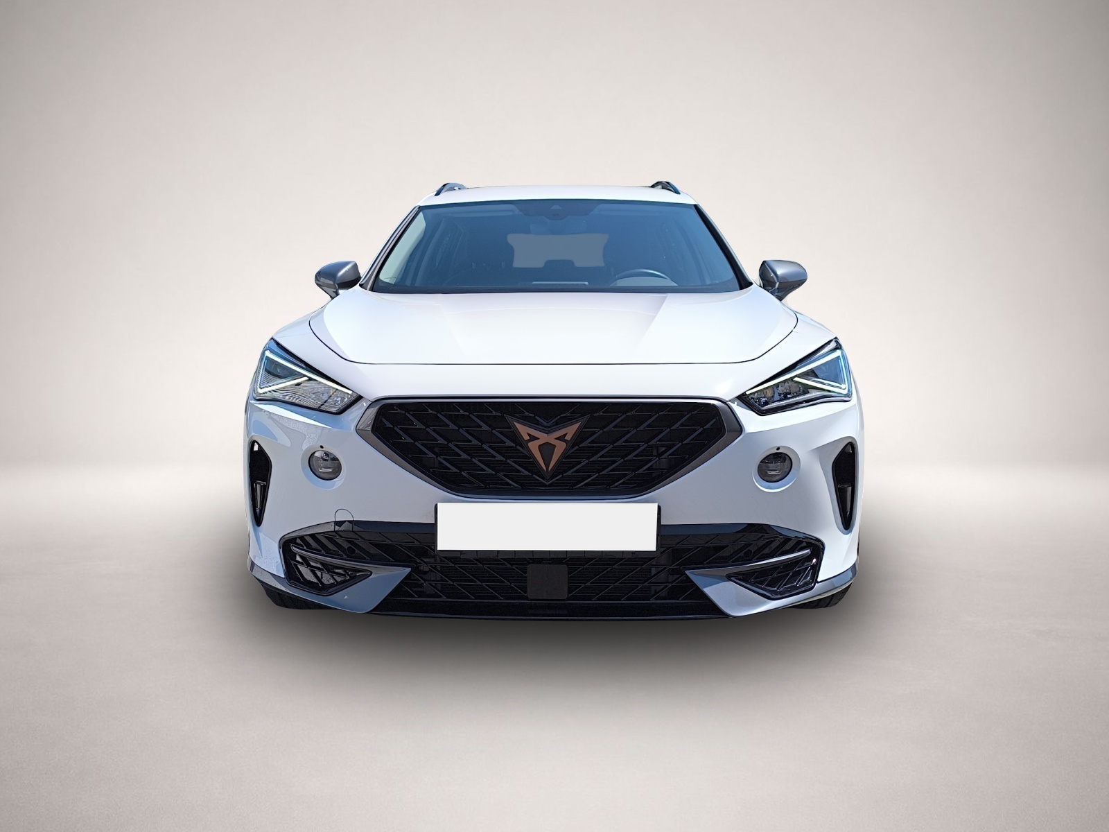 Bild 2 Cupra Formentor 2.0 TSI DSG 4Drive VZ AHK FULL-LINK 18