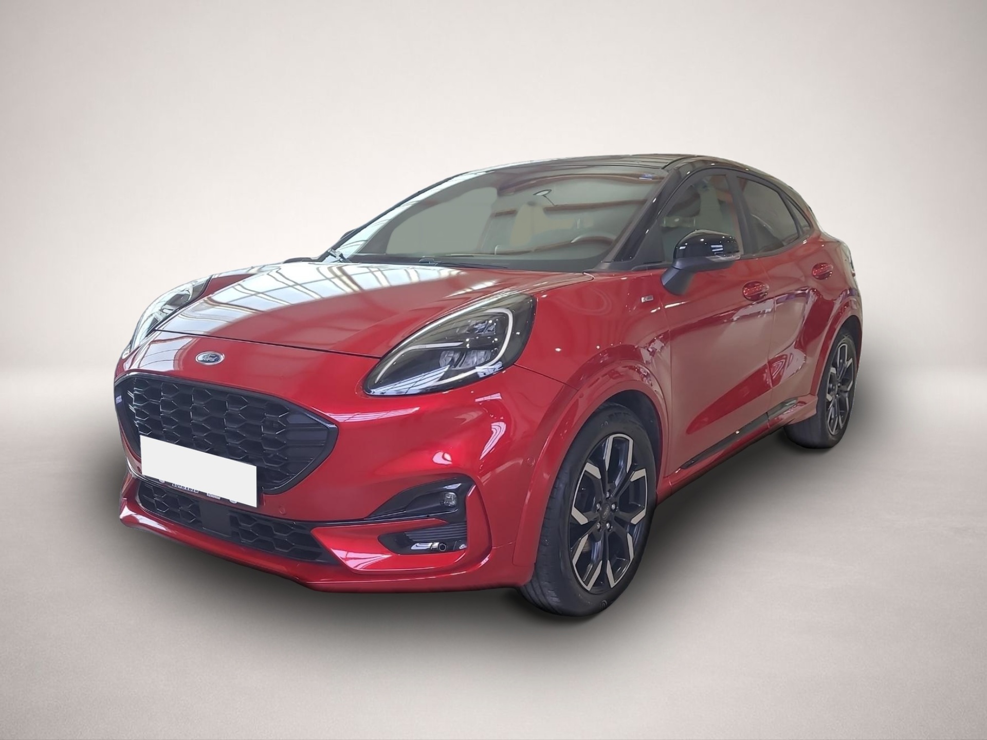 Bild Puma Ford