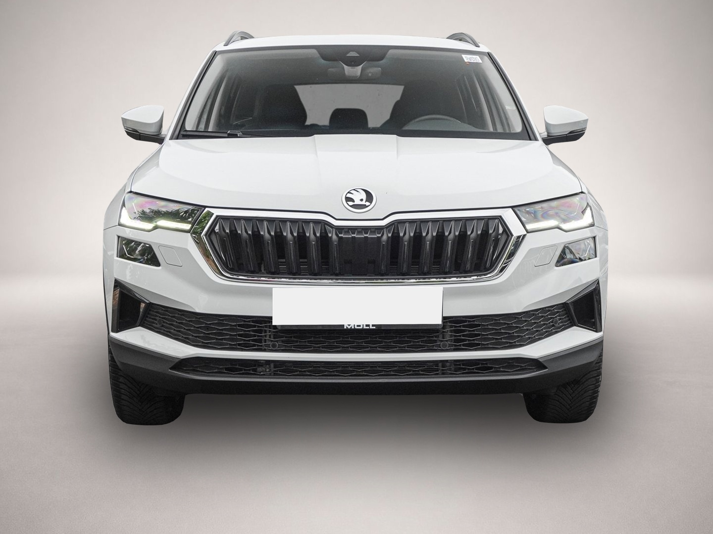 Bild 2 Skoda Karoq 2.0 TDI 4x4 DSG Tour NAVI AHK KESSY