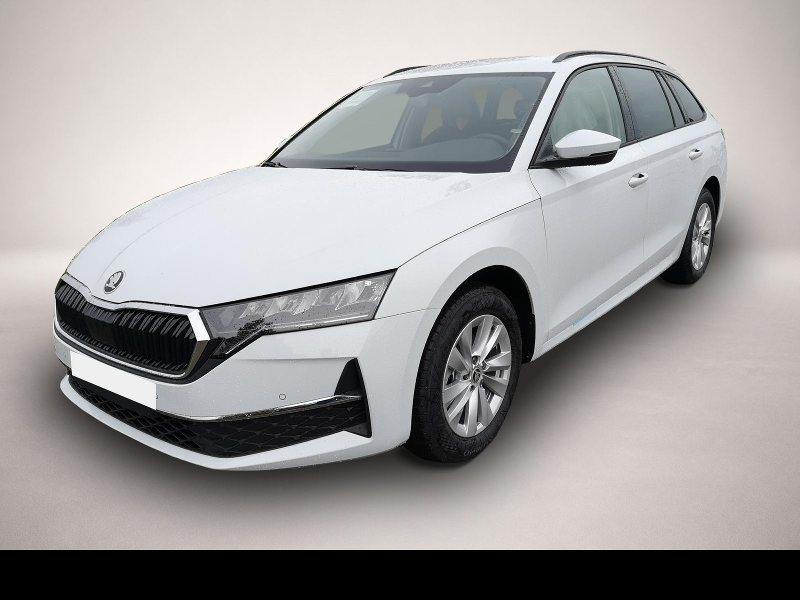 Bild 1 Skoda Octavia Kombi 2.0 TDI DSG Selection Navi PDC GV5