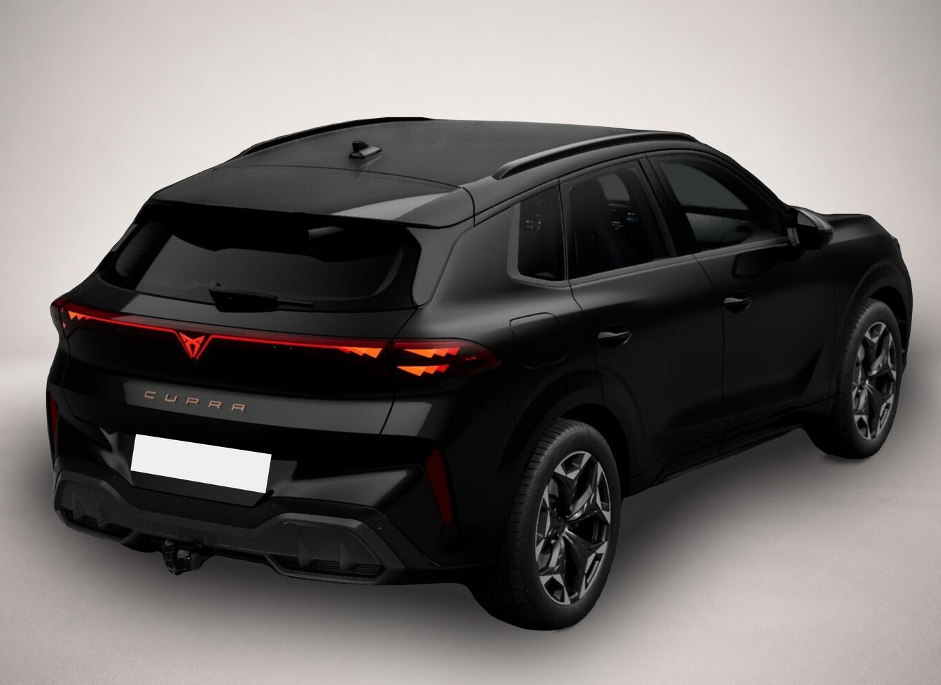 Fotografie 4 des Cupra Terramar VZ 4D AHK eHk Kam SHZ ACC 3ZClim 19