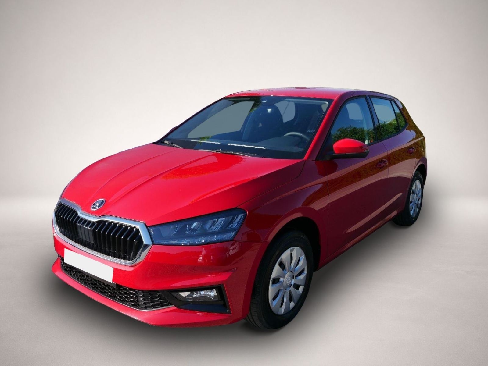 Fotografie 1 des Skoda Fabia Selection 1.0 TSI *NAVI-ÜBER-SMARTLINK*PDC
