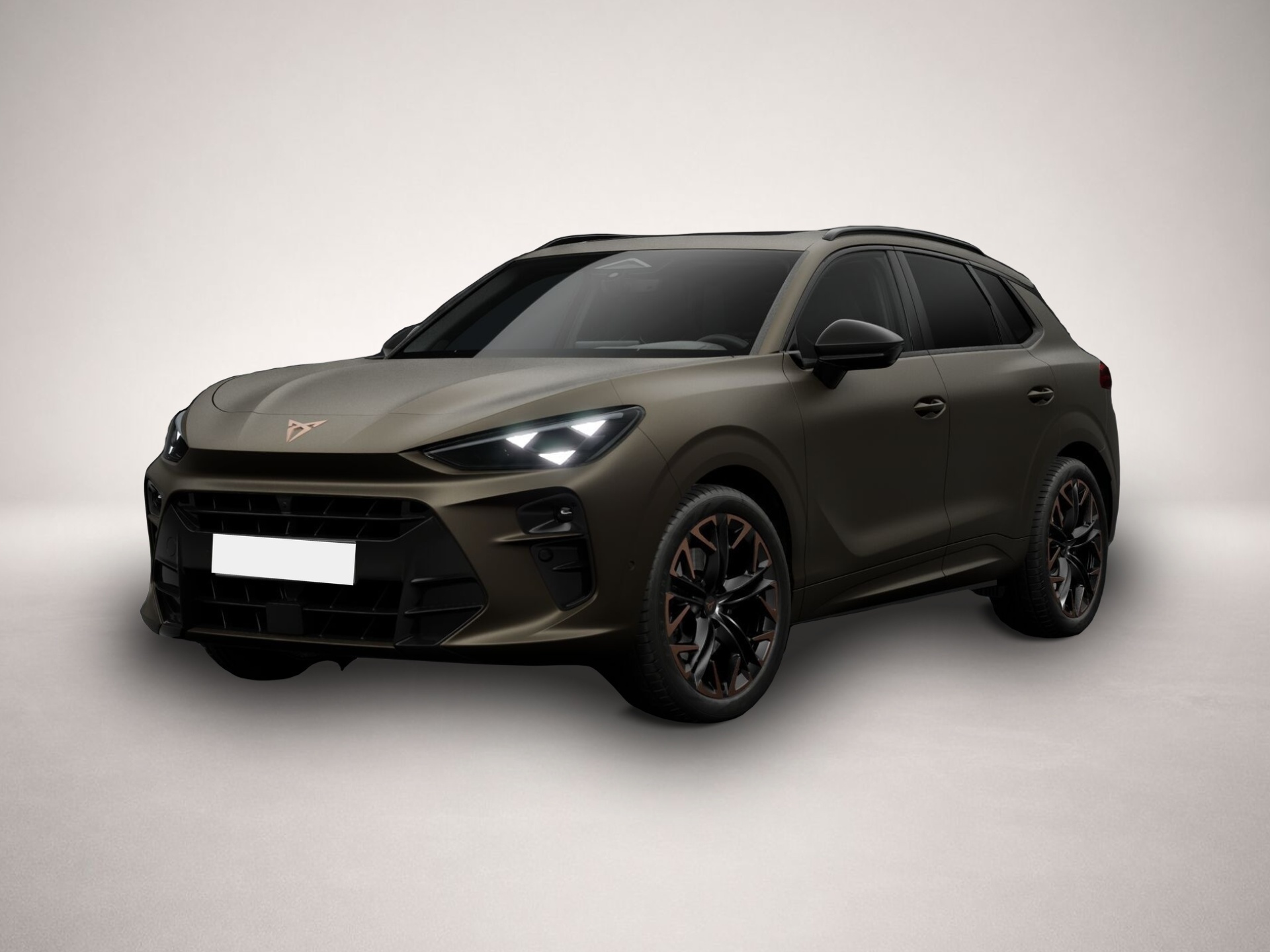 Bild Terramar Cupra