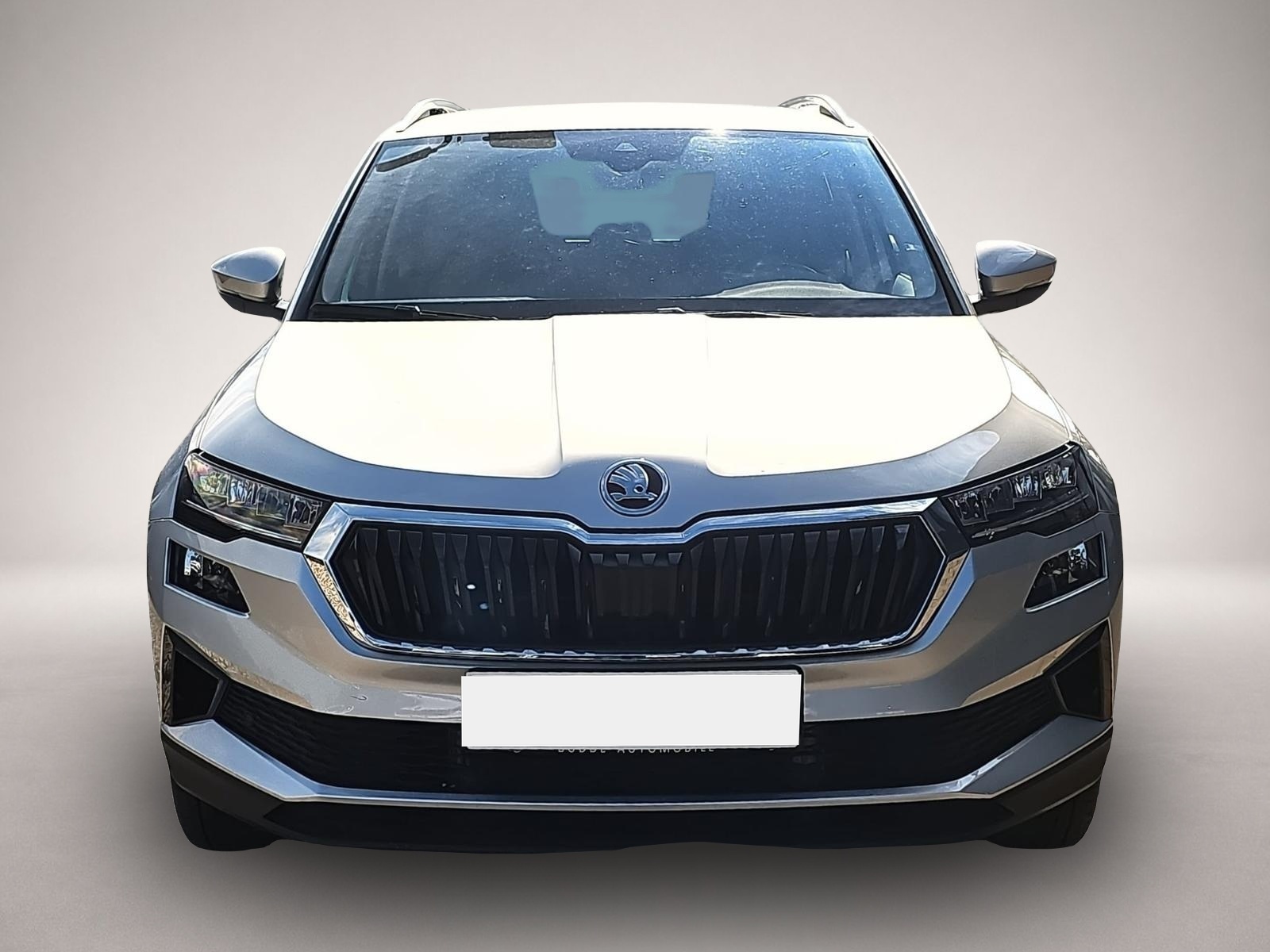 Fotografie 2 des Skoda Karoq 1.5 TSI DSG Selection / ACC / Kessy / PDC