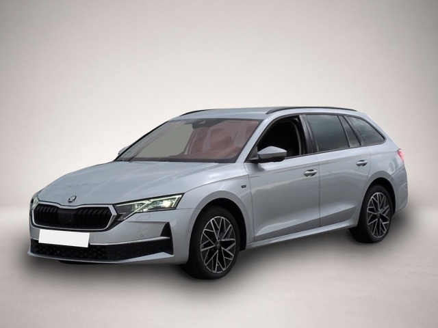 Fotografie 2 des Skoda Octavia Combi TOUR TDI*DSG Matrix-LED CANTON ACC