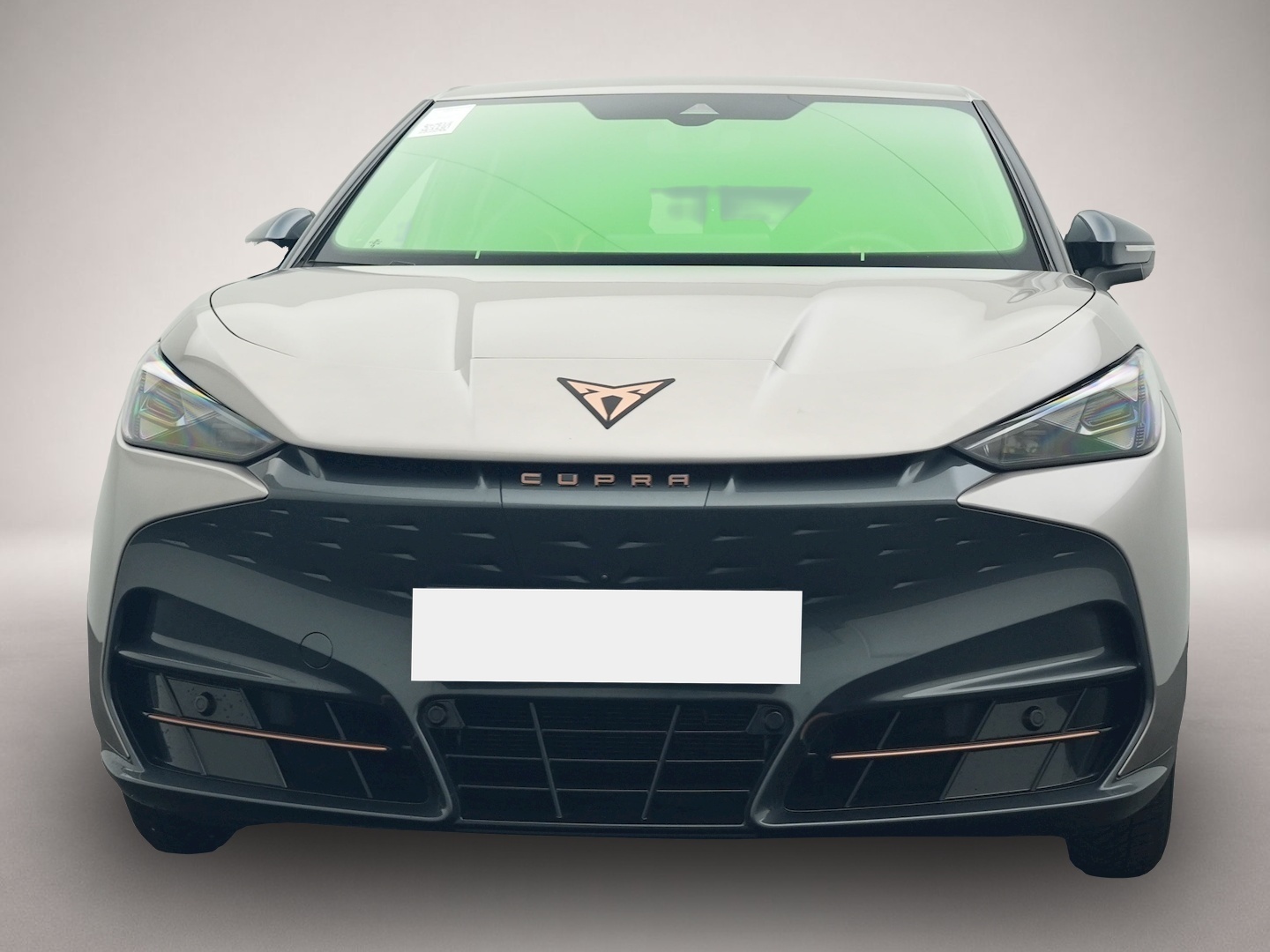 Bild 8 Cupra Tavascan Endurance ALCANTARA WÄPU 360 NAVI