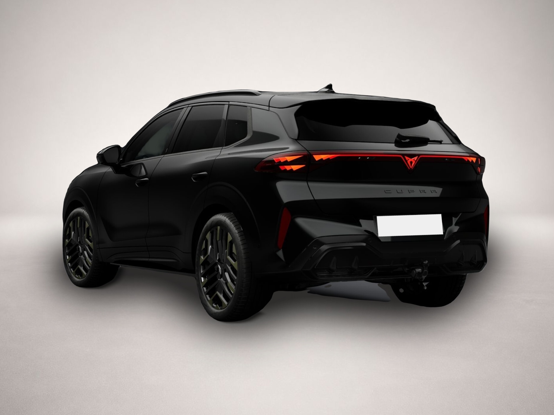 Bild 3 Cupra Terramar 2.0 TSI 7-Gang-DSG 4Drive