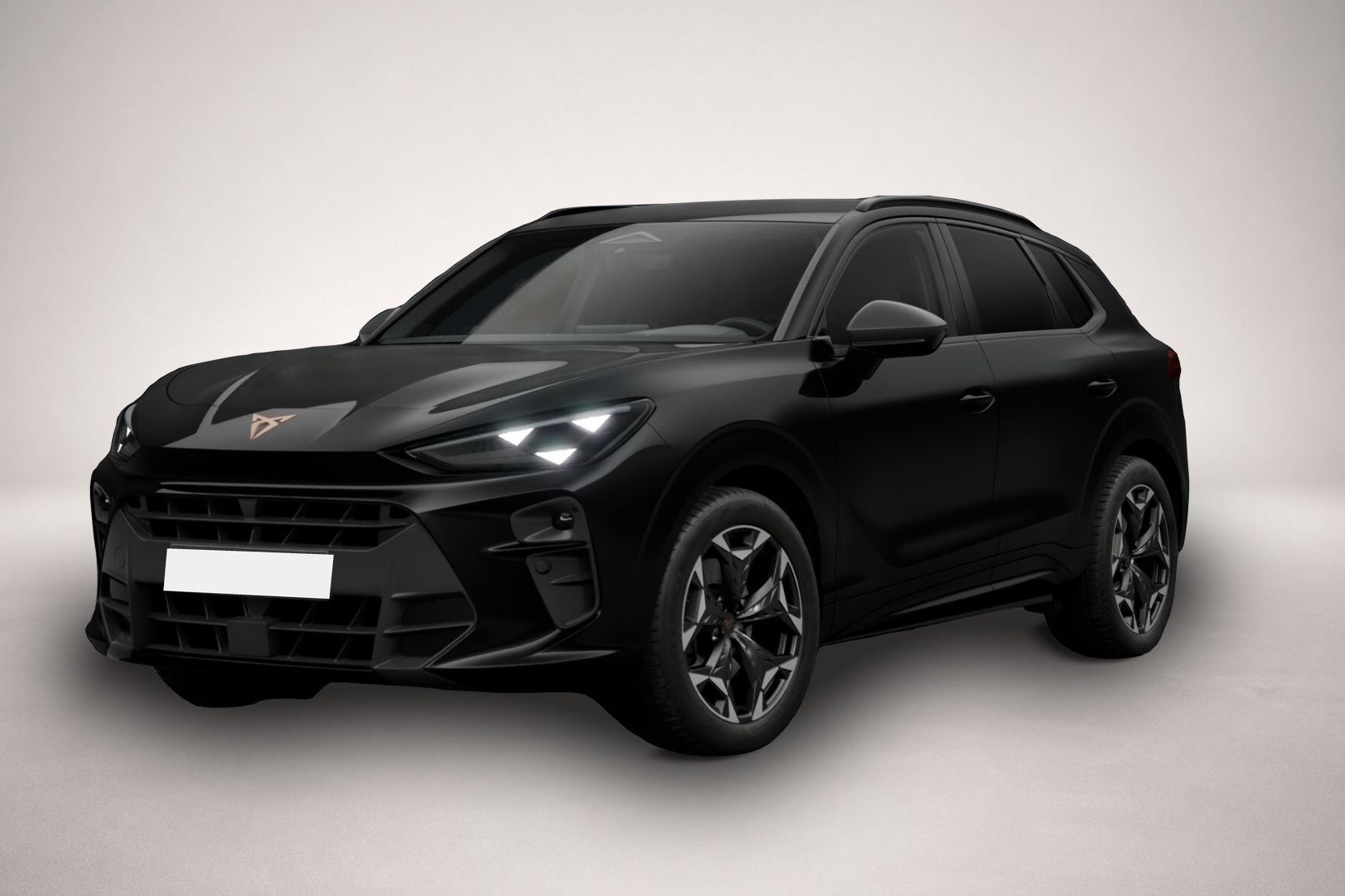 Bild Terramar Cupra