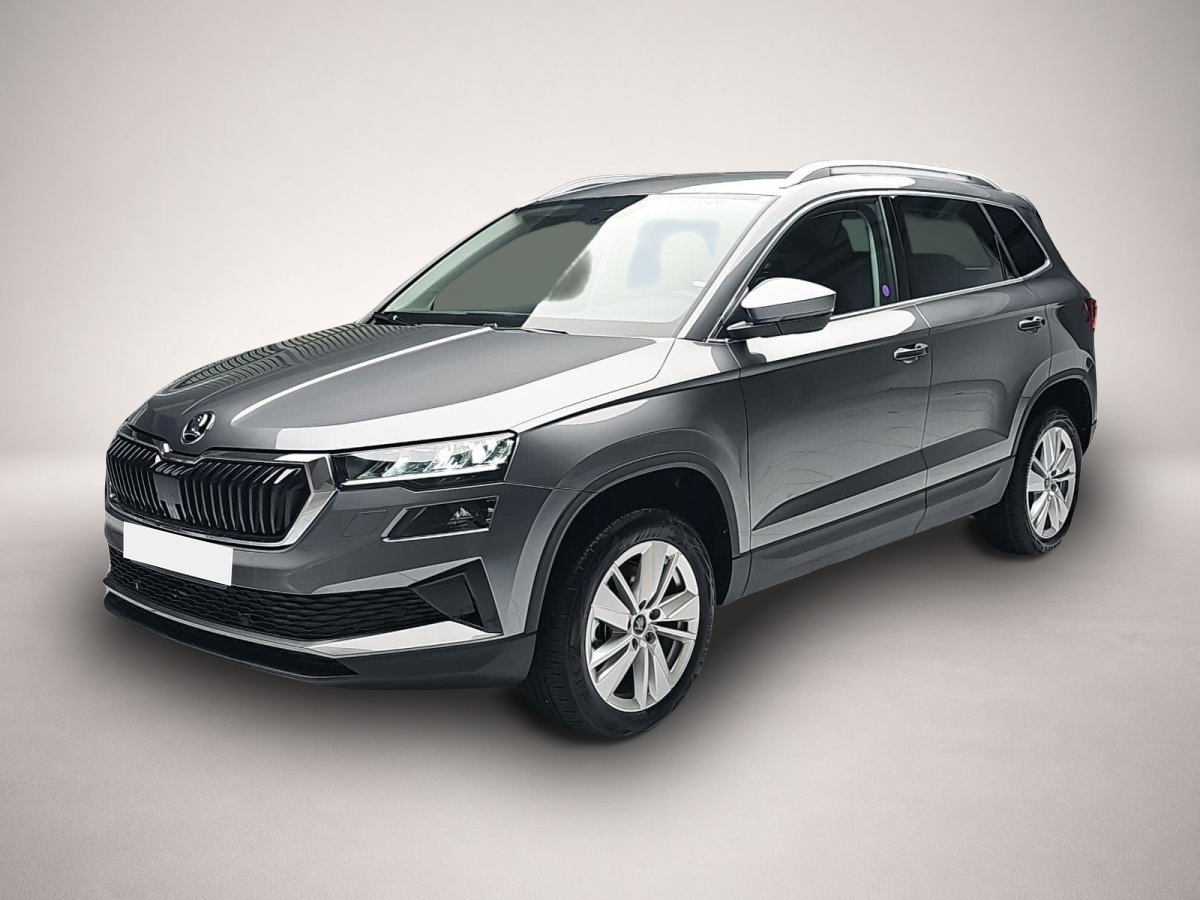 Bild Karoq Skoda