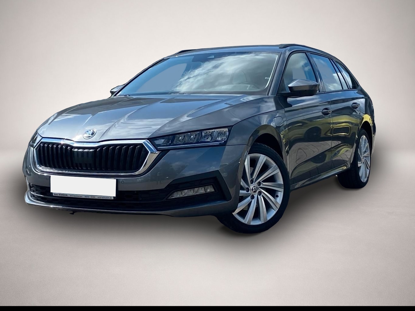 Bild Octavia Skoda