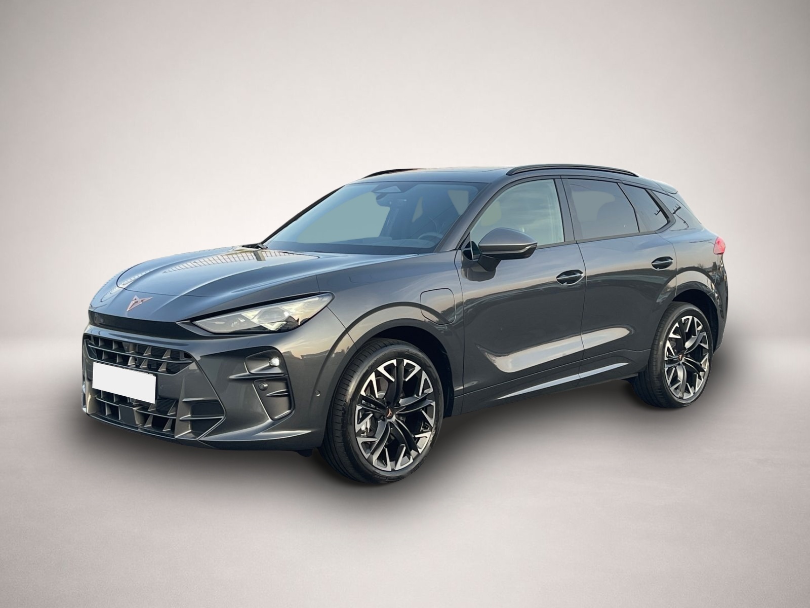 Bild Terramar Cupra