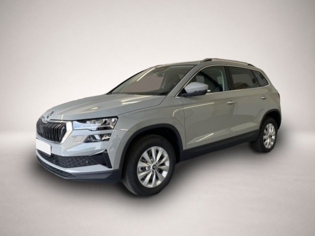Karoq Skoda