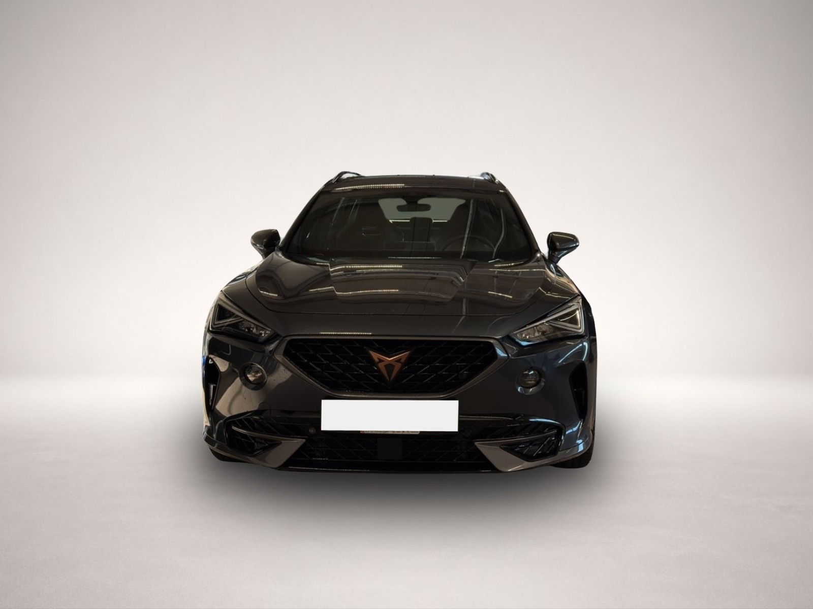 Bild 3 Cupra Formentor 2.0 TSI DSG 4Drive VZ LED NAVI ACC