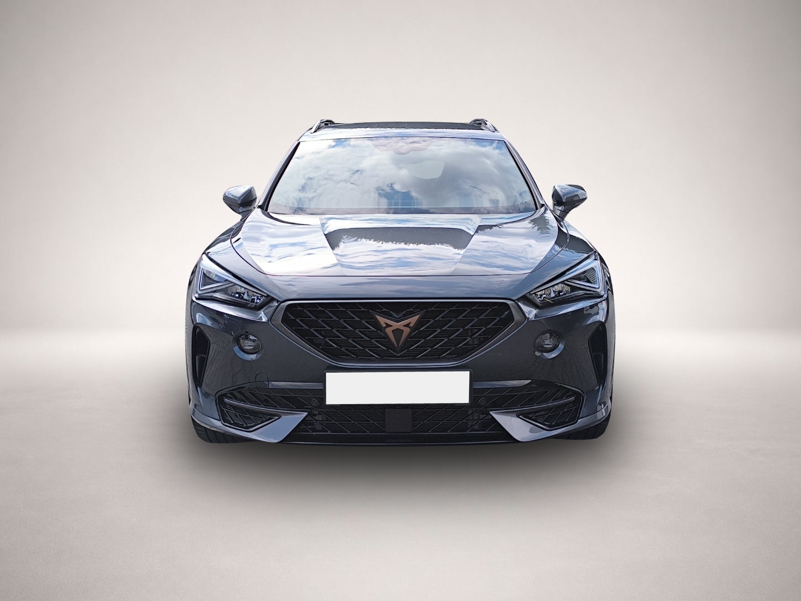Fotografie 1 des Cupra Formentor 1.4 e-Hybrid DSG LED NAVI RFK