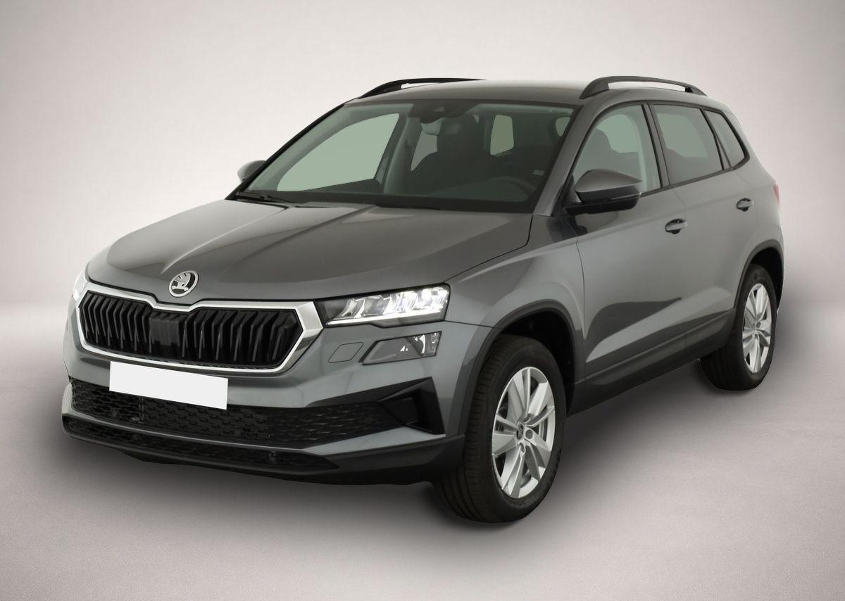 Bild Karoq Skoda