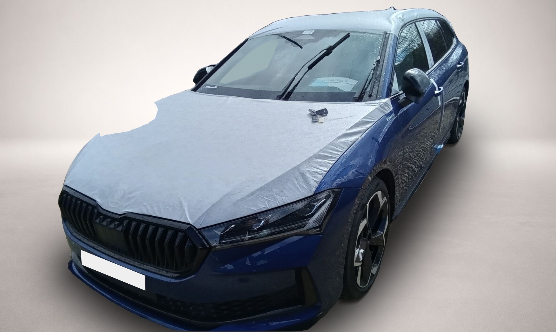 Bild Superb Skoda