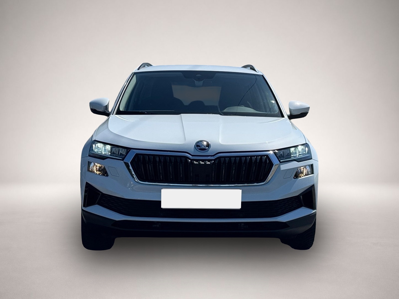 Bild 2 Skoda Karoq Selection 4x4 TDI DSG|ACC|NAVI|KAMERA|