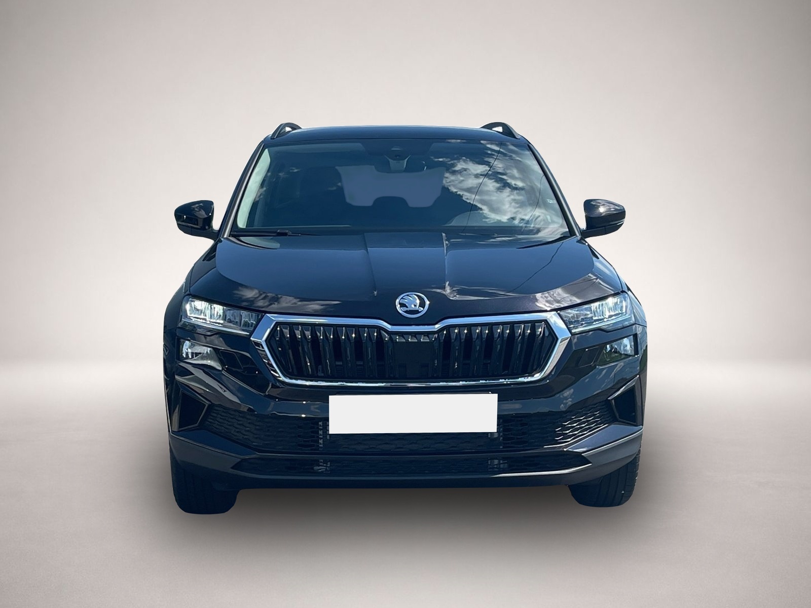 Bild 2 Skoda Other Karoq Selection TSI DSG|SHZ|PDC|SMARTLINK|TEMP