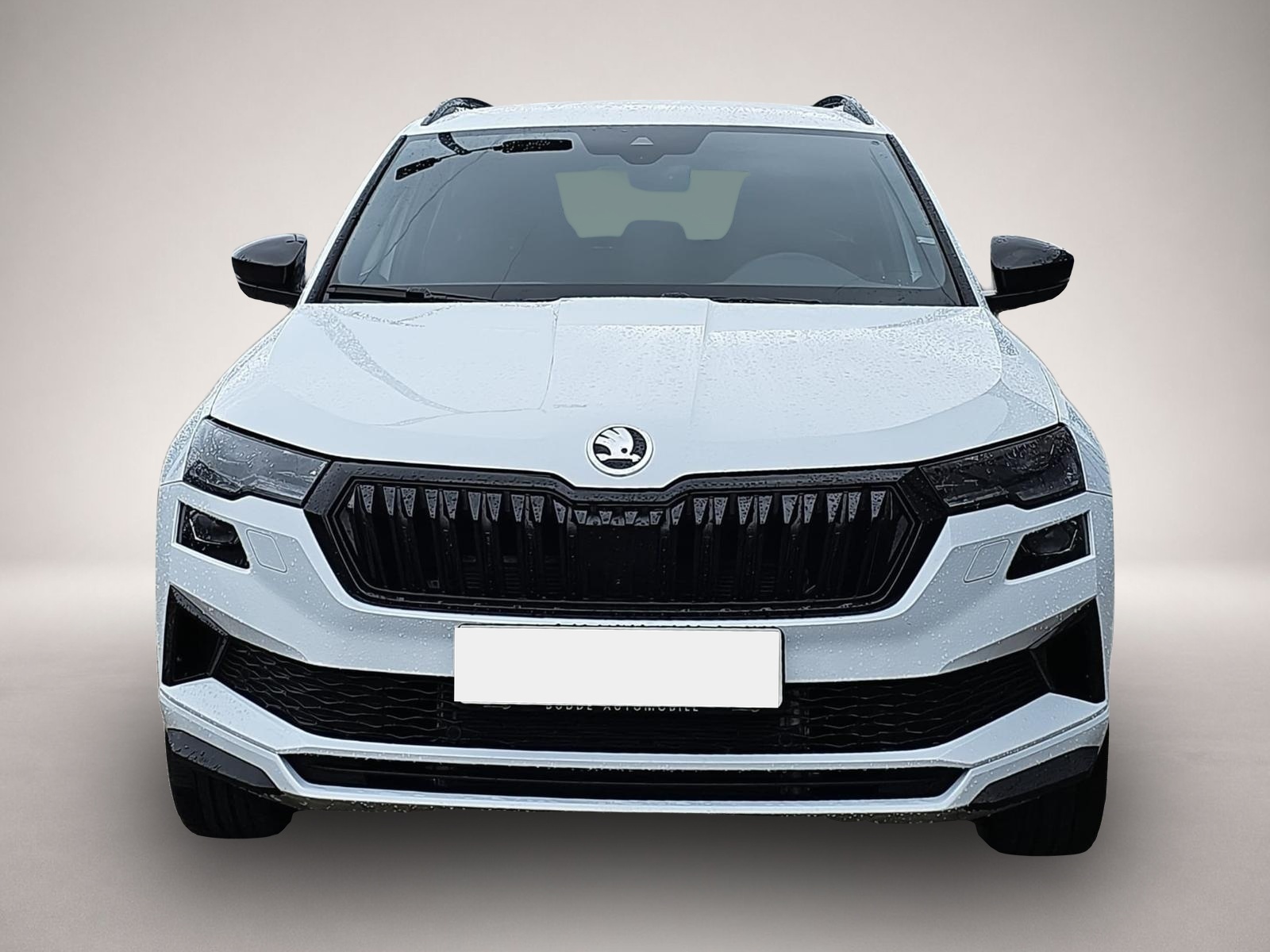 Bild 2 Skoda Karoq 1.5 TSI DSG Sportline 360Grad Kamera / ACC
