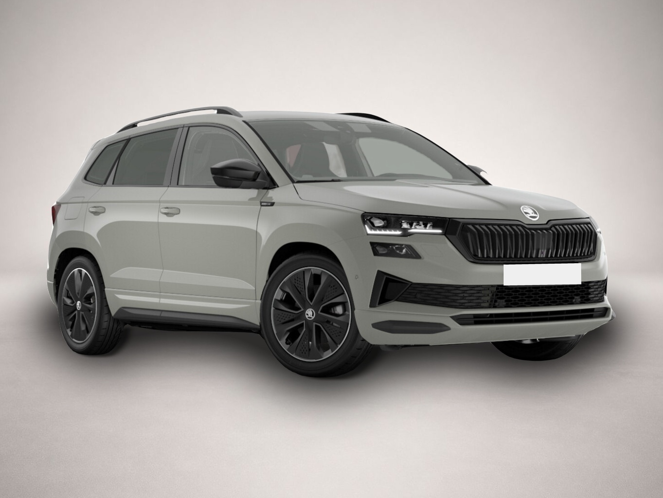 Bild Karoq Skoda