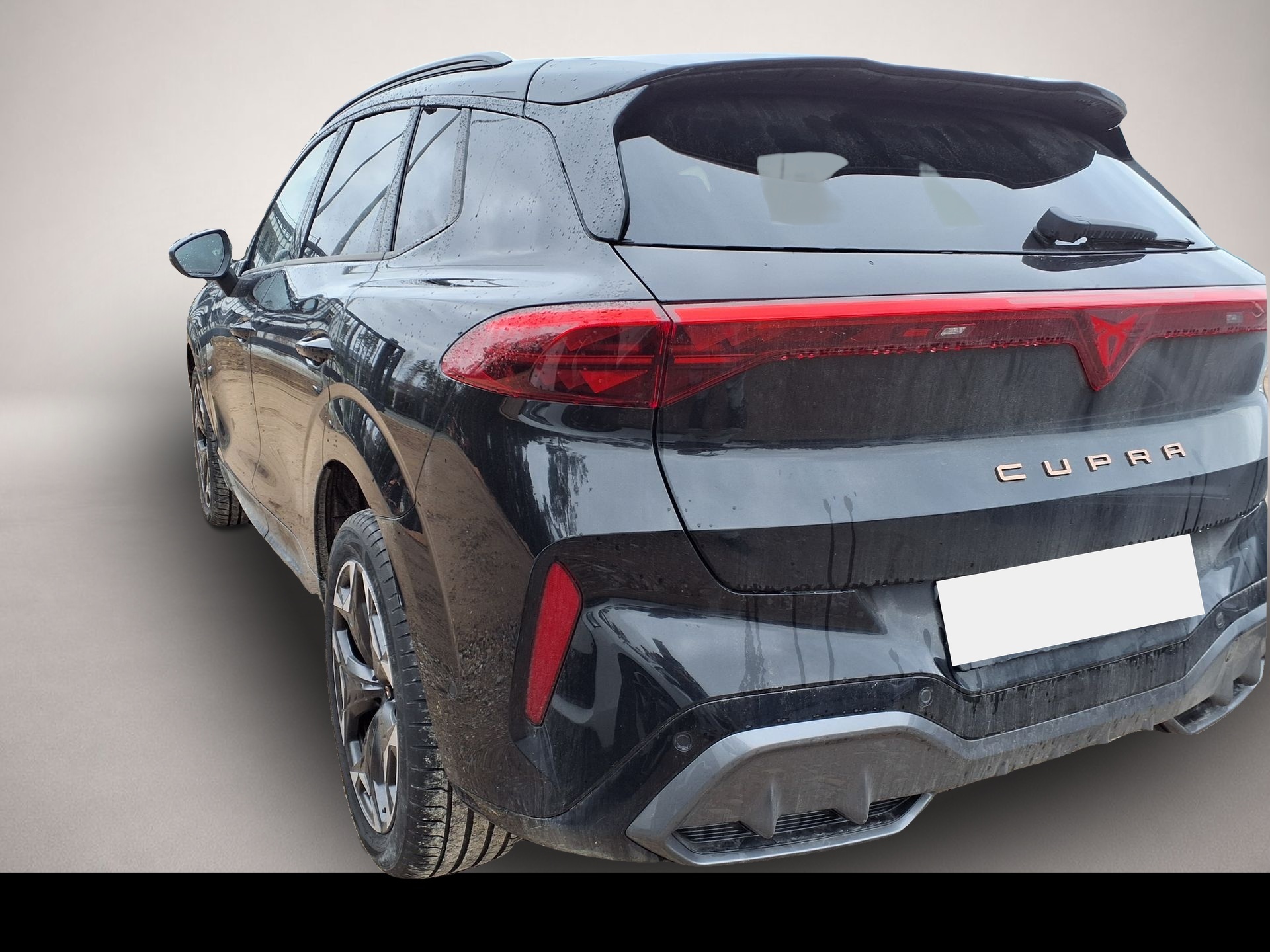 Bild 4 Cupra Terramar CUPRA VZ 2.0 TSI 195 kW (265 PS) 7-Gang