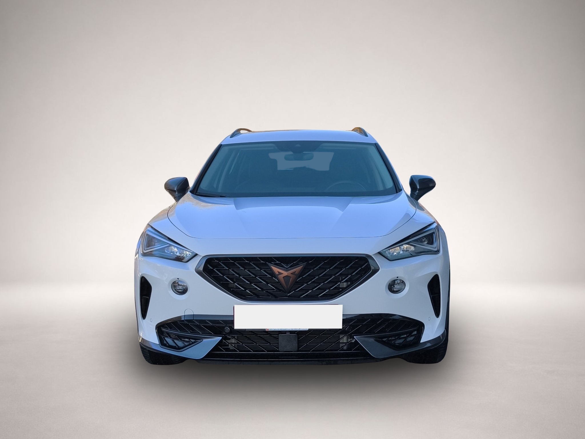 Bild 2 Cupra Formentor 1.5 TSI LED 18 FULL-LINK PARKLENK ACC