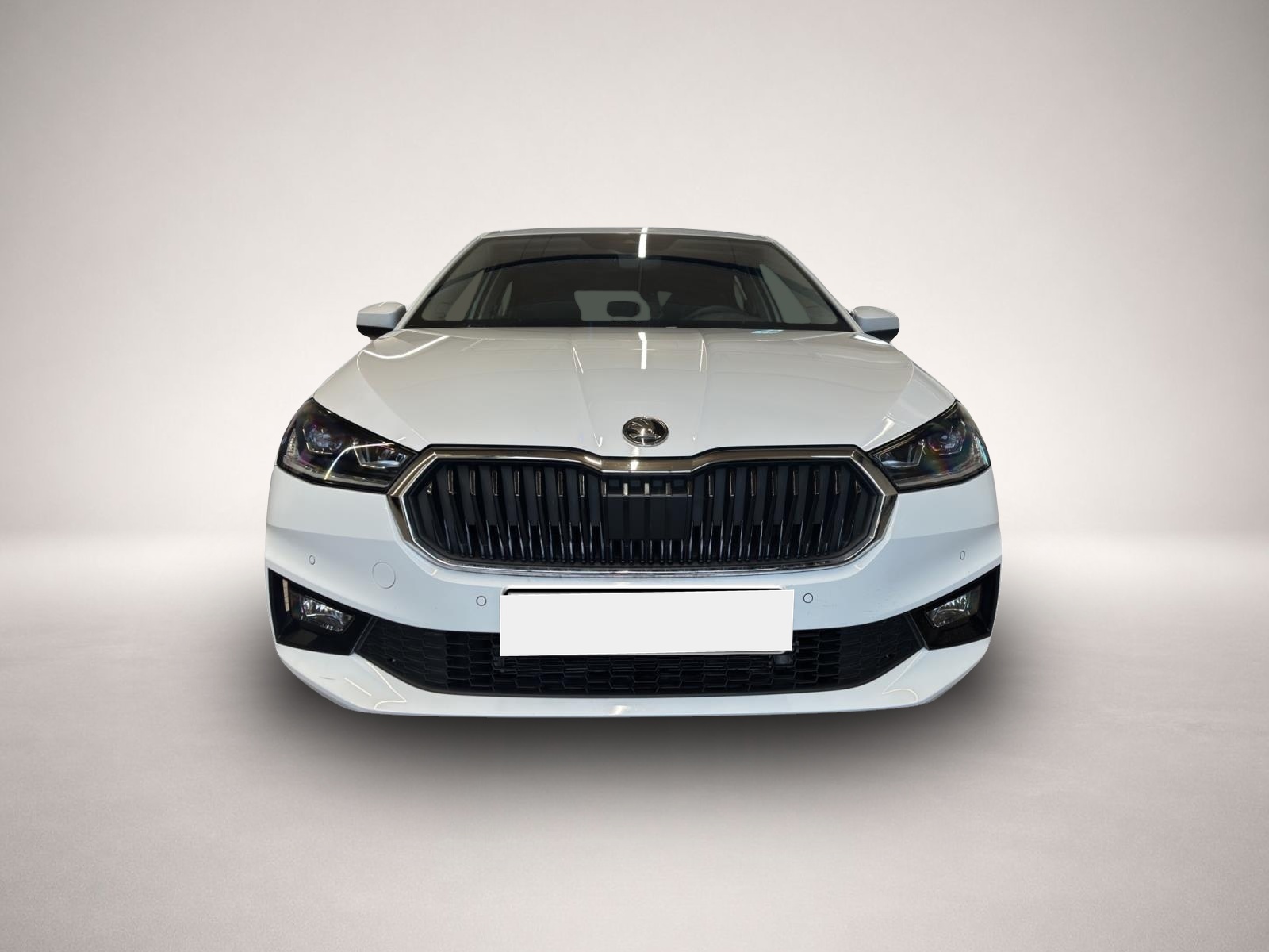 Fotografie 2 des Skoda Fabia 1.0 TSI Tour LED KAMERA NAVI SHZ