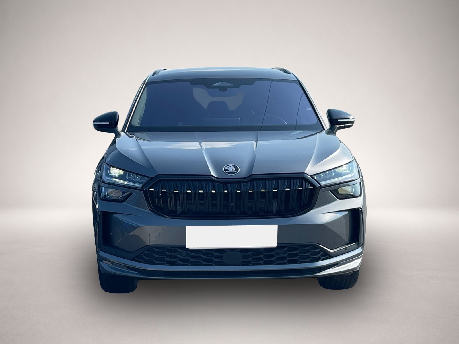 Bild Kodiaq Skoda
