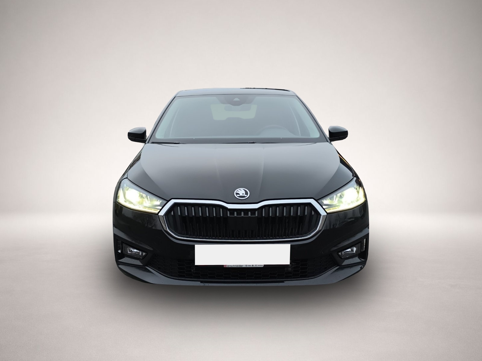 Bild 2 Skoda Fabia 1.5 TSI DSG Tour NAVI AHK ACC PDC RFK SMAR