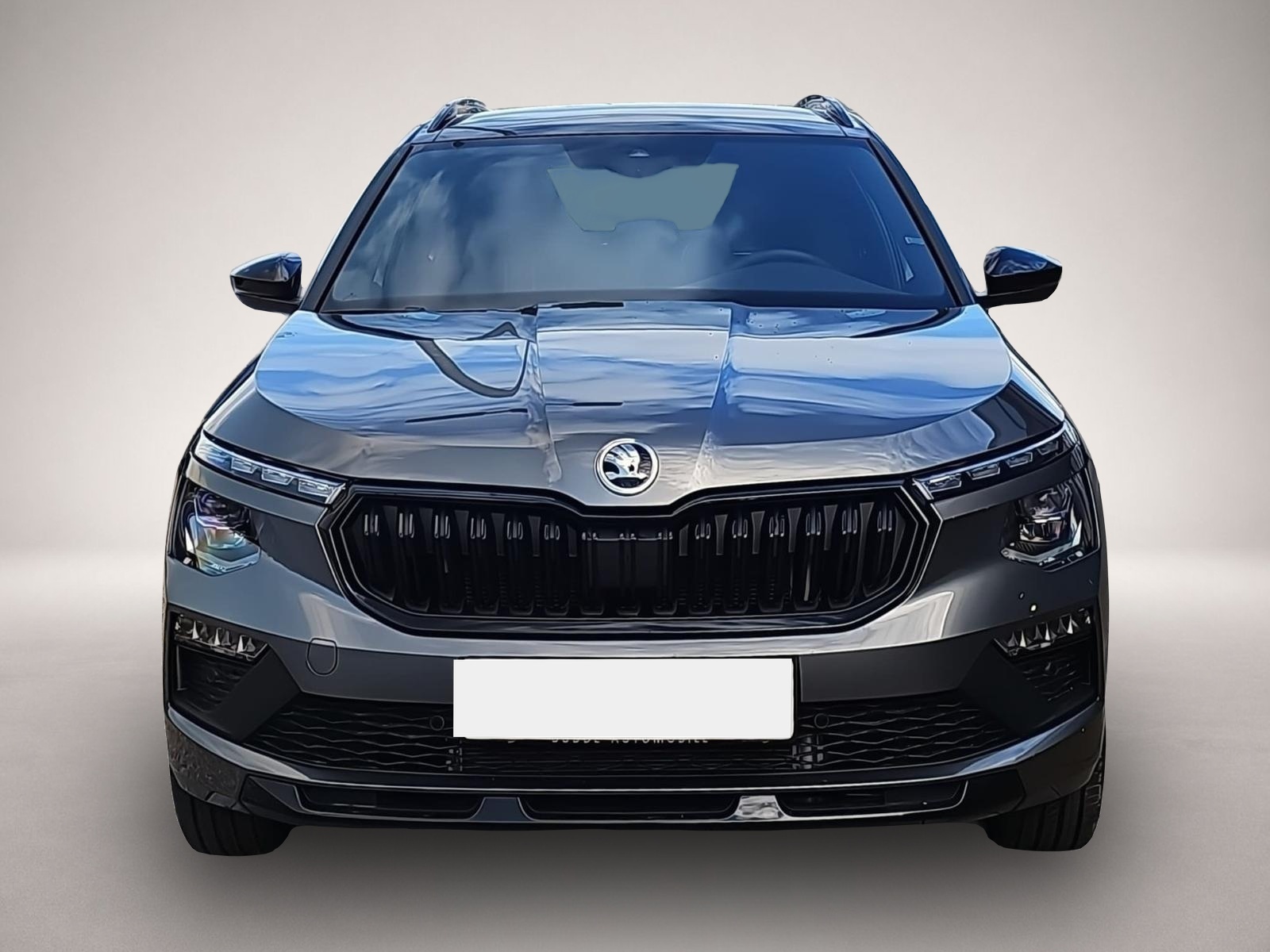 Bild 2 Skoda Kamiq 1.5 TSI DSG Monte Carlo Matrix Navi AHK