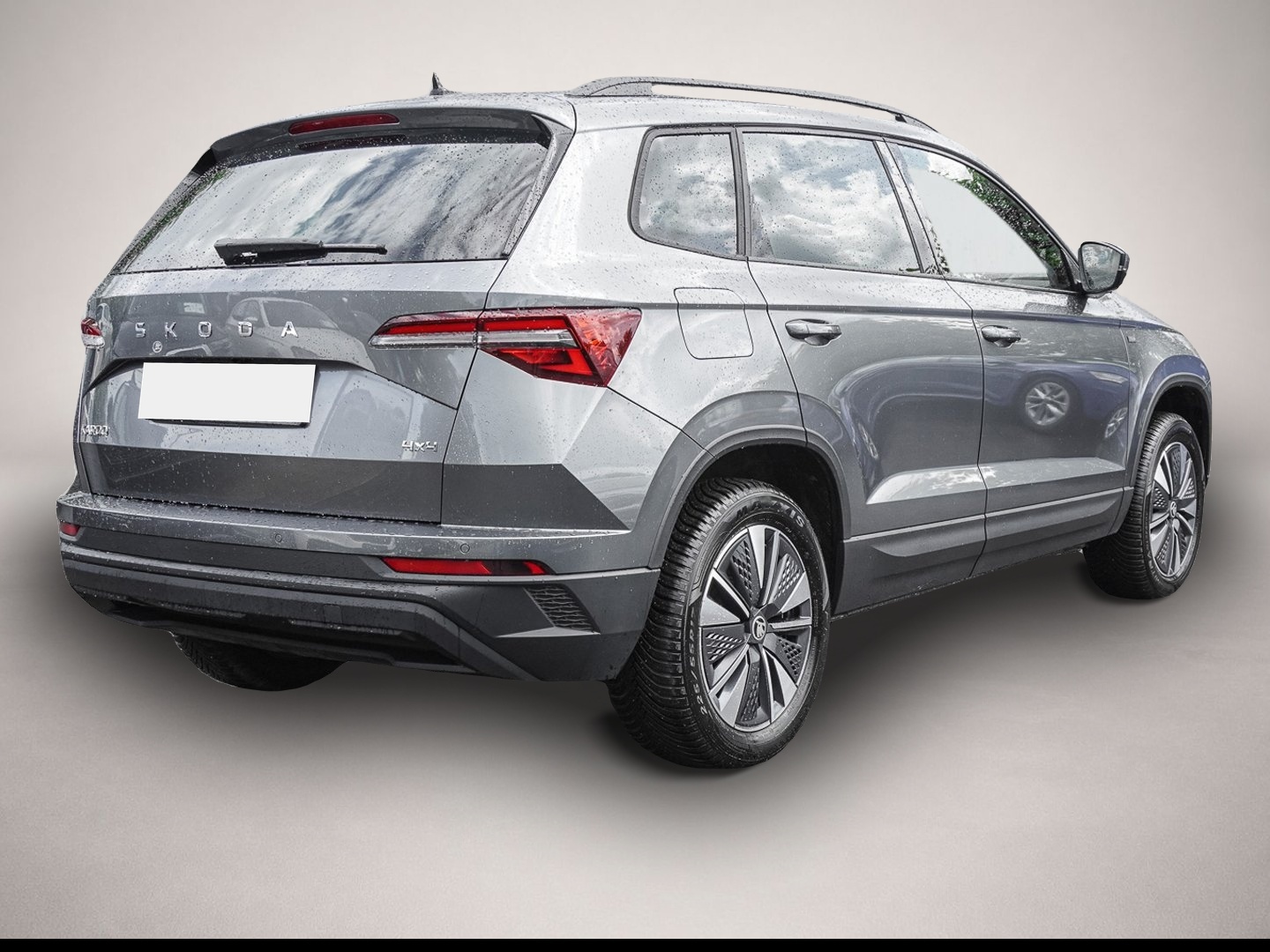 Fotografie 3 des Skoda Karoq 2.0 TDI DSG SelectionTour