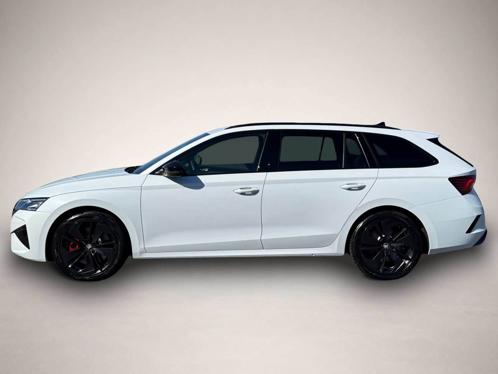 Bild 3 Skoda Octavia Combi RS TSI DSG|5-J-GARANTIE|PANO|AHK|