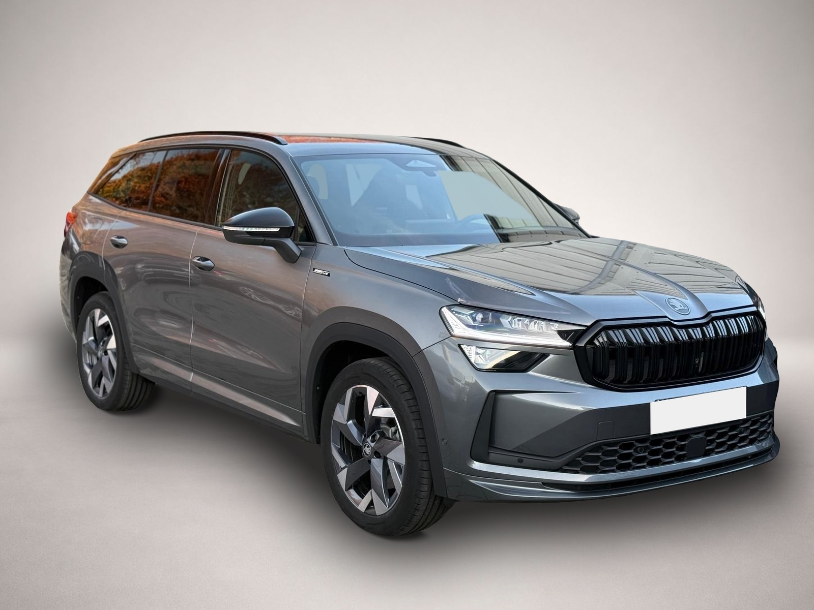 Bild Kodiaq Skoda