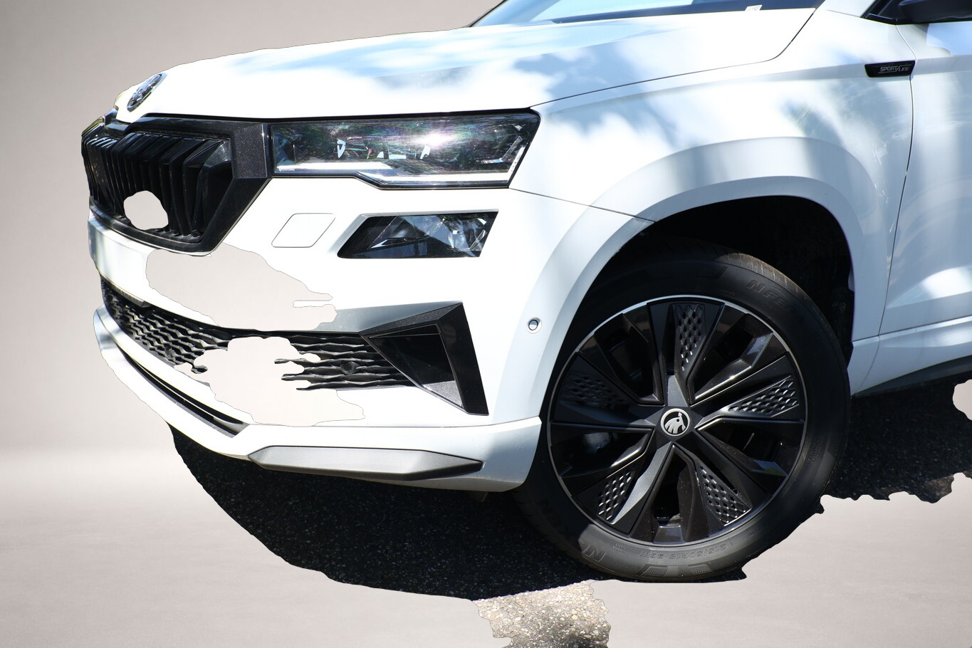Bild 5 Skoda Karoq DSG Sportl Pano Matrix Nav 360° Canton ACC