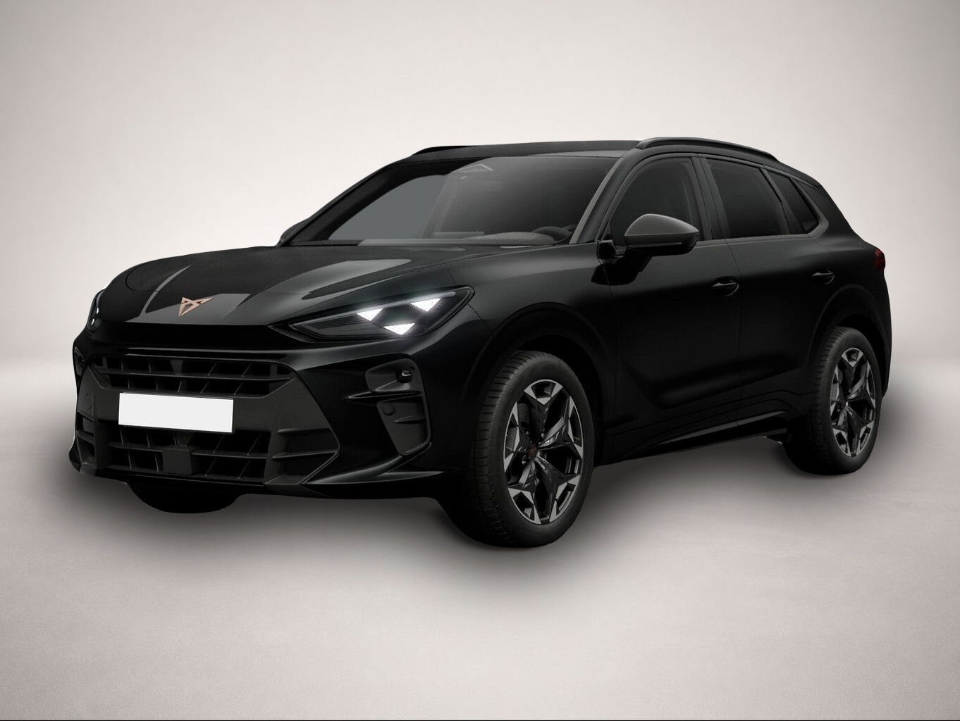 Fotografie 1 des Cupra Terramar VZ 4D AHK eHk Kam SHZ ACC 3ZClim 19